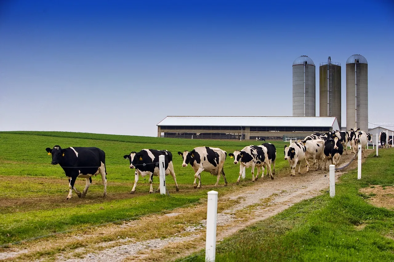 Agriculture