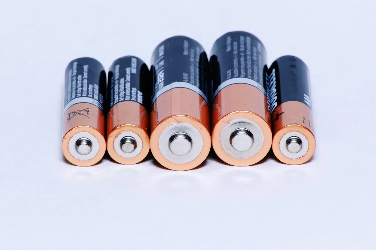 Manganese Dioxide Catalysis in Battery
