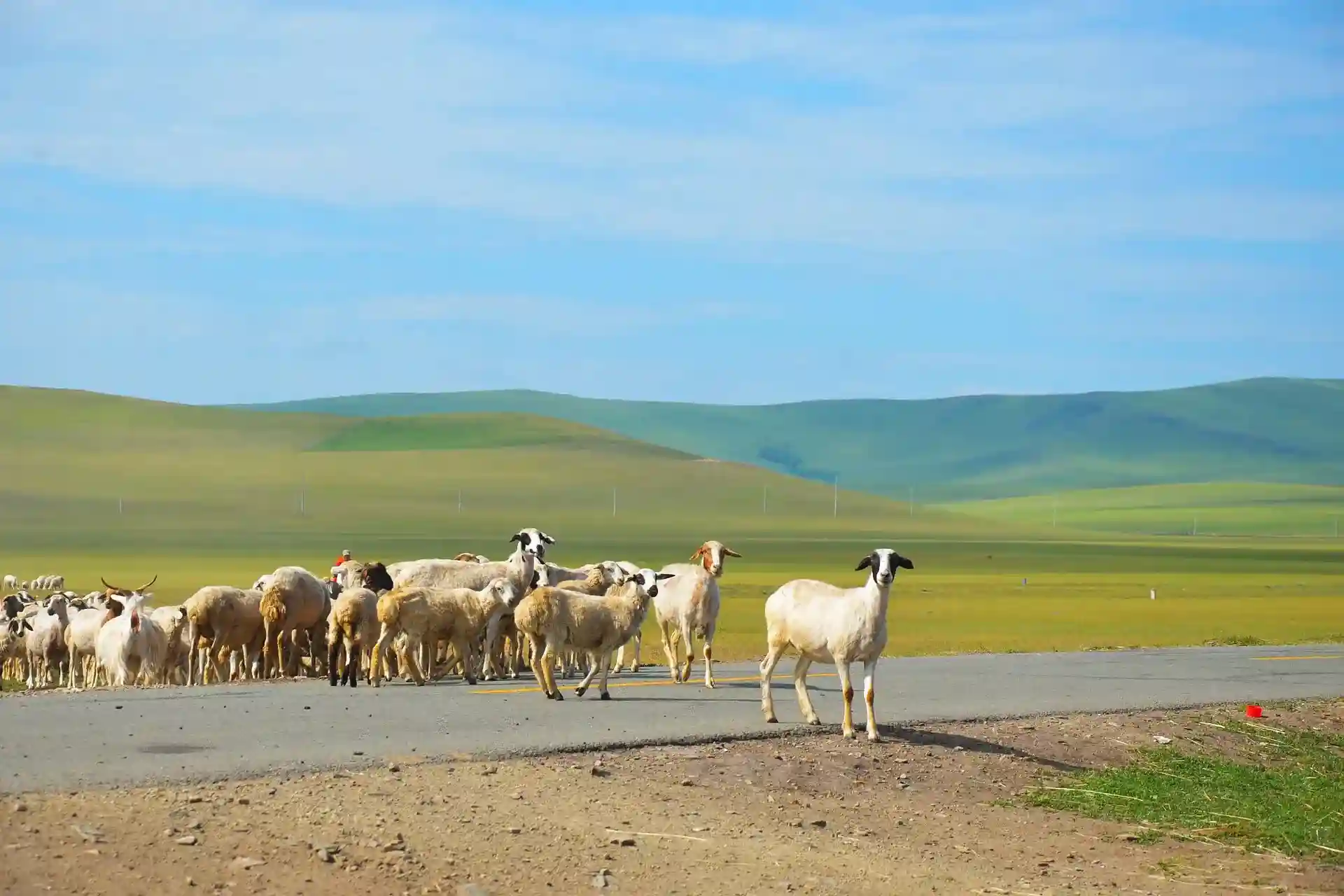 Agriculture Industry
